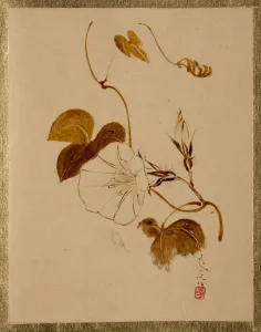 Convolvulus Arvensis Prints: Morning Glory. Creator: Shibata Zeshin
