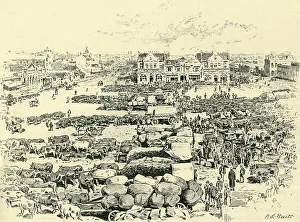 Covered Wagons Prints: Morning Market, Johannesburg, c1900. Creator: A.E. Huitt