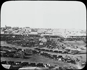 Kimberley Prints: Morning market, Kimberley, South Africa, c1890