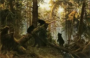Bear Cub Gallery: Morning in the Pine-Wood, 1889, (1965). Creator: Ivan Shishkin