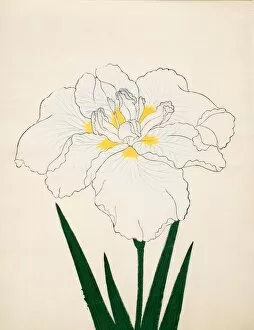 Moro-No-Tsuki, No. 97, 1890, (colour woodblock print)