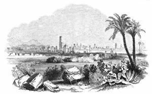 Cactus Gallery: Morocco, 1844. Creator: Unknown