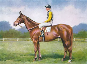 Danny Gallery: Morse Code, Jockey: D. Morgan, 1939