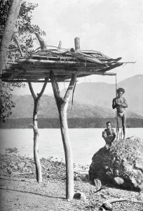 Mortuary platform in New Guinea, 1902. Artist: W Lindt