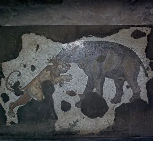 Mosaic of animal combat at the Great Palace in Istanbul, 6th century