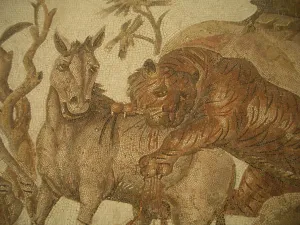 Mule Prints: Mosaic, El Jem Museum, El Djem, Tunisia, 2009. Creator: Amanda Waite