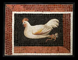 Rooster Gallery: Mosaic Floor Panel Depicting a Bound Rooster, 2nd century. Creator: Unknown