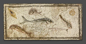 3rd Century Collection: Mosaic Floor Panel Depicting Marine Life, 200-230. Creator: Unknown