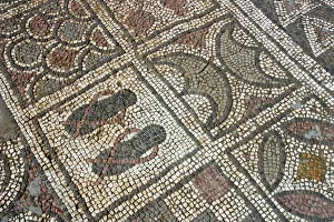 Mosaic floor, ruins of the Basilica of Ayia Trias, Famagusta, North Cyprus