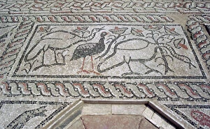 Sharp Gallery: Mosaic, ruins of the Roman town of Stobi, Gradsko, Macedonia