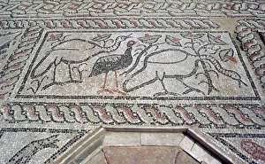 Mosaic, ruins of the Roman town of Stobi, Gradsko, Macedonia