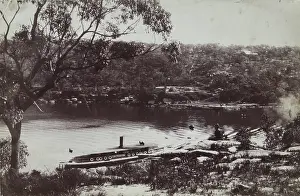 Steamboat Prints: Mosman Bay, c1890. Creator: Unknown