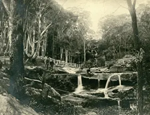 Flowing Prints: Mosman Bay: lower falls. Creator: Unknown
