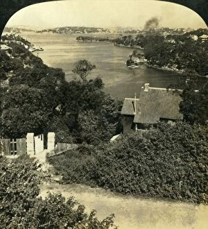 Sydney Gallery: Mosmans Bay, Sydney, Australia, c1909. Creator: George Rose
