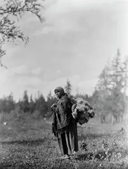 Cree Prints: Moss for the baby-bags-Cree, c1927. Creator: Edward Sheriff Curtis