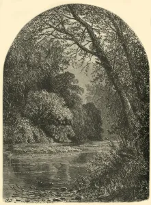 Undergrowth Prints: Moss Islands, in the Juniata, 1874. Creator: W. H. Morse