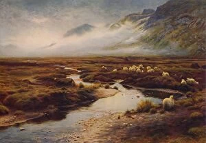 Moorland Collection: The Moss at Poolewe, c1912. Creator: Joseph Farquharson