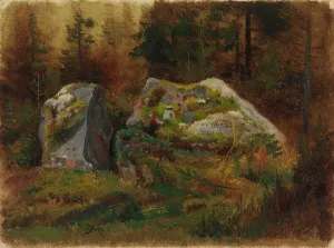 Mossy stones in the forest. Creator: Johan Knutson
