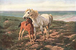 Foal Prints: Mother and Son, 1881, (c1902). Creator: Unknown
