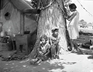 Shantytown Prints: Motherless migrant children - they work in the cotton, 1935. Creator: Dorothea Lange