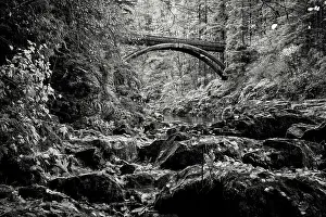 Pacific North West Prints: Moulton Falls Bridge A. Creator: Joshua Johnston