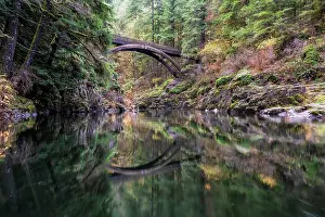 Pacific North West Prints: Moulton Falls Bridge B. Creator: Joshua Johnston