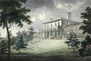 Mount Ararat, Wimbledon, pub. c1828. Creator: English School (19th Century)
