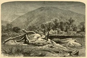 New England Prints: Mount Chesterfield, 1874. Creator: W. H. Morse
