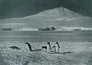 Volcano Prints: Mount Erebus, c1911, (1913). Artist: Herbert Ponting