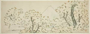 Snowcapped Collection: Mount Fuji with Cherry Trees in Bloom, Japan, c. 1801 / 05. Creator: Hokusai