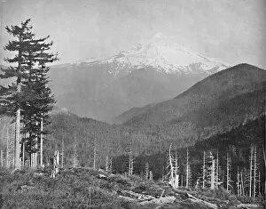 Snow Capped Gallery: Mount Hood, Oregon, c1897. Creator: Unknown