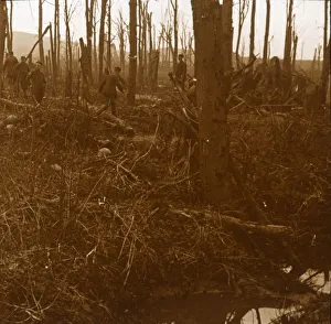 West Flanders Prints: Mount Kemmel, Flanders, Belgium, c1914-c1918