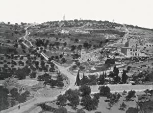 Mount Of Olives Gallery: Mount of Olives, Jerusalem, Palestine, 1895. Creator: W &s Ltd