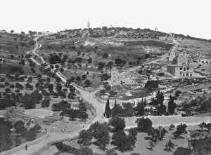 Mount Of Olives Gallery: Mount of Olives, Jerusalem, Palestine, 1895. Creator: W &s Ltd