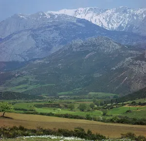 Mountainside Prints: Mount Parnassus in Greece