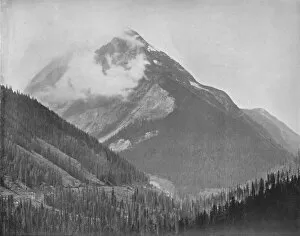 Colonial Portfolio Collection: Mount Ross, 19th century