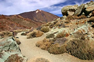 Mount Teide, Parque Nacional del Teide, Tenerife, Canary Islands, 2007