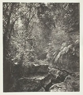 Crevice Prints: A Mountain Pass in Formosa, c. 1868. Creator: John Thomson