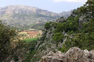 Mediterranean Collection: Mountain scenery near Lluc, Mallorca