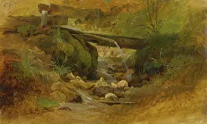 Irrigation Prints: Mountain stream, 1860-1890. Creator: Friedrich Carl von Scheidlin