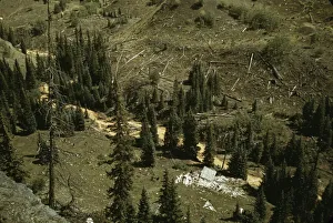 Environment Prints: Mountain streams in Ouray County, Colorado, 1940. Creator: Russell Lee