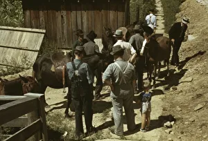 Mountaineers and farmers trading mules and horses on Jockey St. Campton, Wolfe County, Ky. 1940 Creator: Marion Post Wolcott