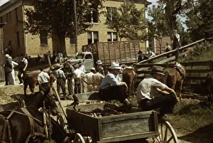 Mountaineers and farmers trading mules and horses on Jockey St. Campton, Wolfe County, Ky. 1940 Creator: Marion Post Wolcott
