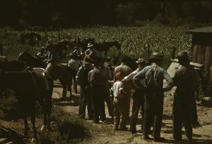 Mountaineers and farmers trading mules and horses on Jockey St. Campton, Wolfe County, Ky. 1940 Creator: Marion Post Wolcott