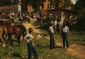 Mountaineers and farmers trading mules and horses on Jockey St. Campton, Wolfe County, Ky. 1940 Creator: Marion Post Wolcott