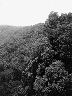 Transparency Prints: Mountainside with trees, between 1900 and 1920. Creator: Unknown