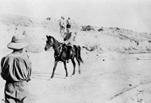 Mounted Turkish officer leaving Mosul, Mesopotamia, WWI, 1918