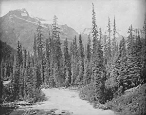 Snow Capped Gallery: Mounts Cheops and Hermit, Selkirk Range of the Rockies, c1897. Creator: Unknown