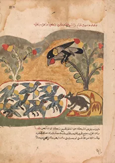 Dove Prints: The Mouse Gnaws the Net Imprisoning the Doves, Folio from a Kalila wa Dimna, 18th century