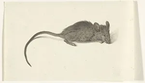 Jean Bernard Prints: Mouse, to the right, 1775-1833. Creator: Jean Bernard